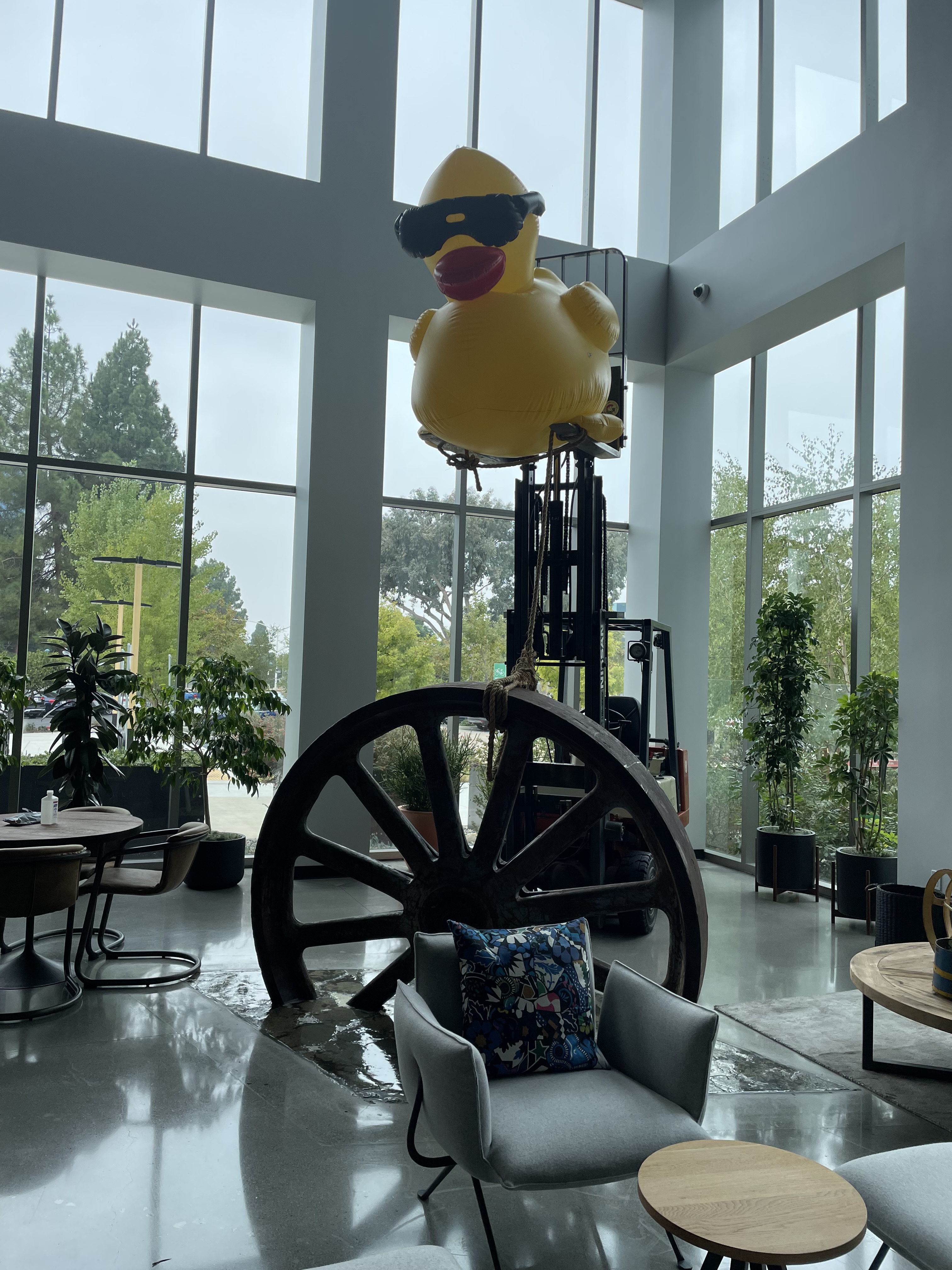 Lobby & Common Area — commercial project by South Bay Works Force in the Bay Area